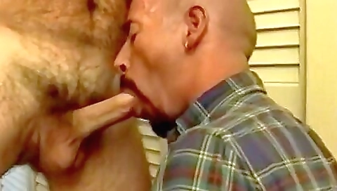 Brunette with a hairy pussy likes to take turns in the ring