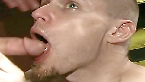 Busty blonde brunette getting fucked in a group sex party